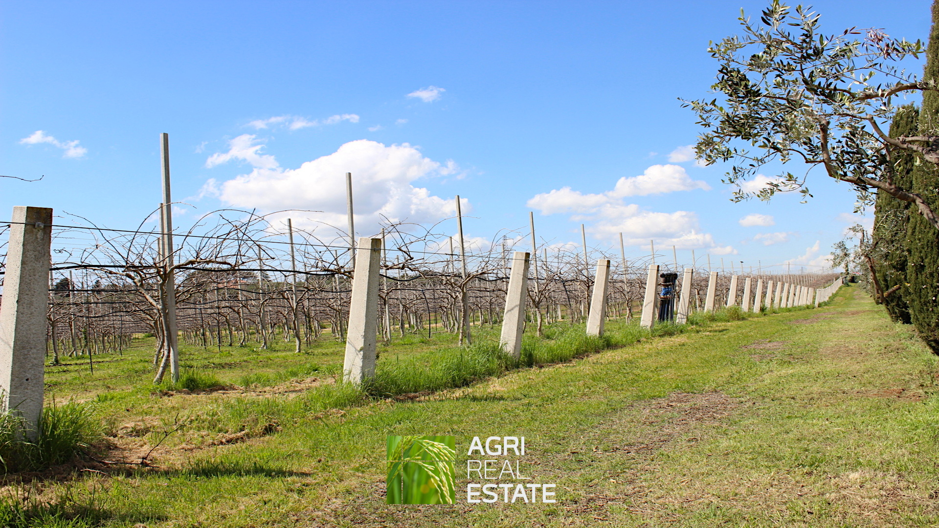 /api/file/public/264713/27143