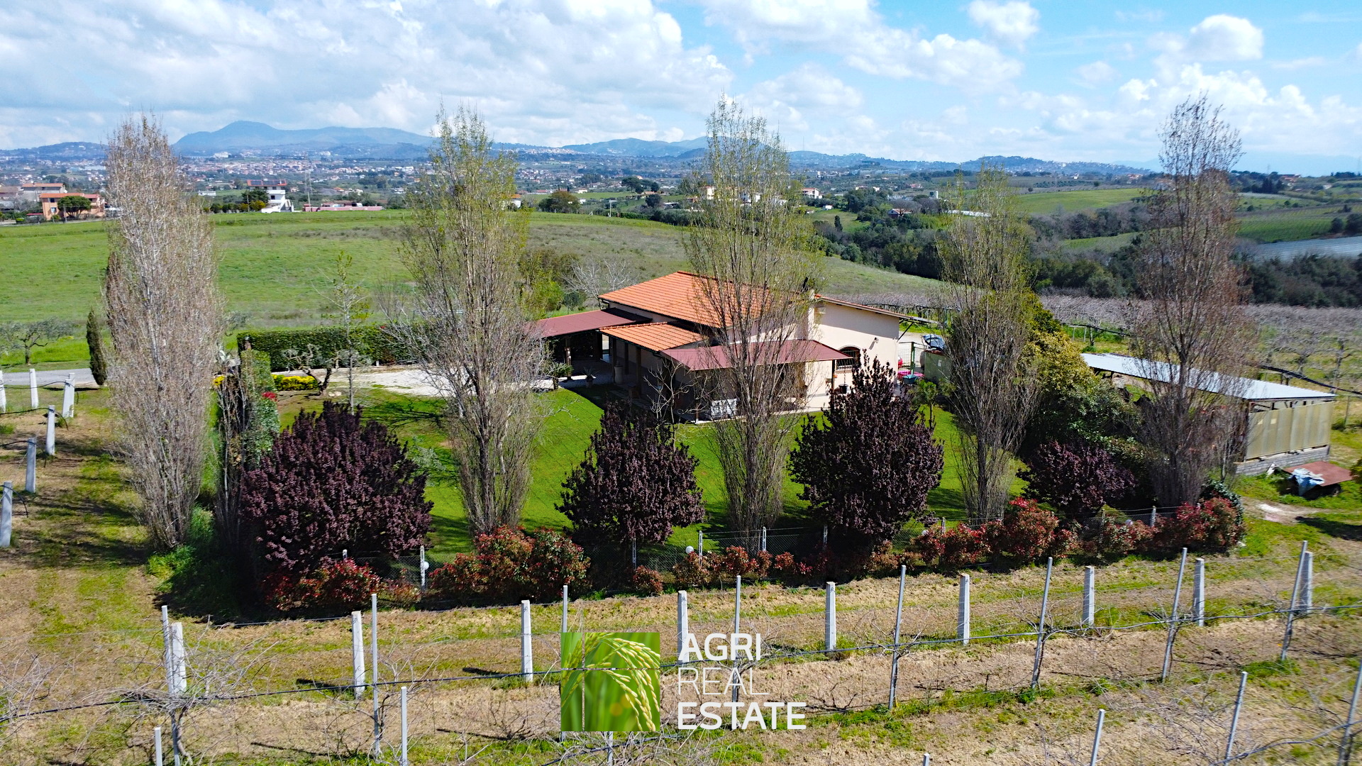 /api/file/public/264713/27145