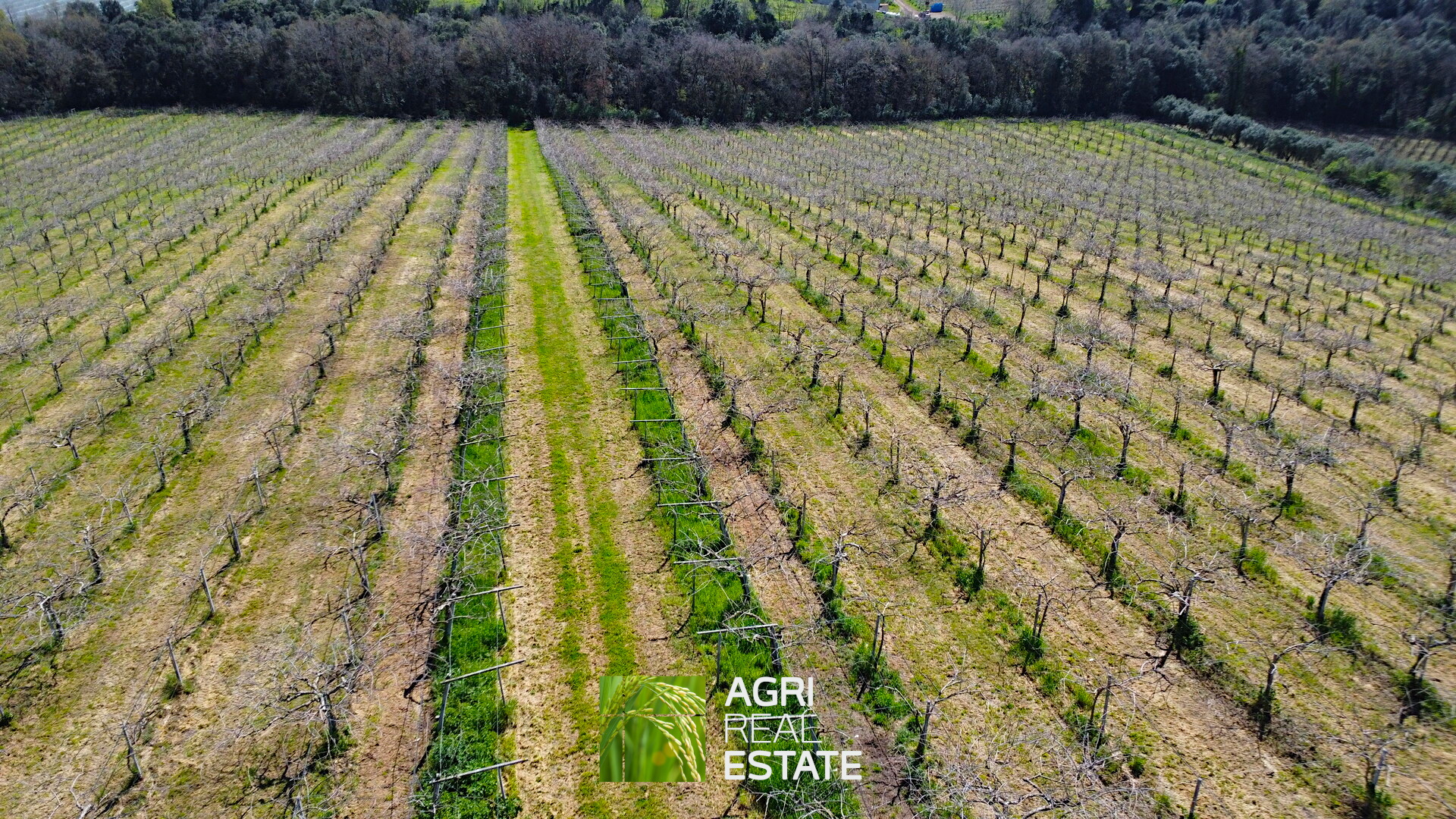 /api/file/public/264713/27146