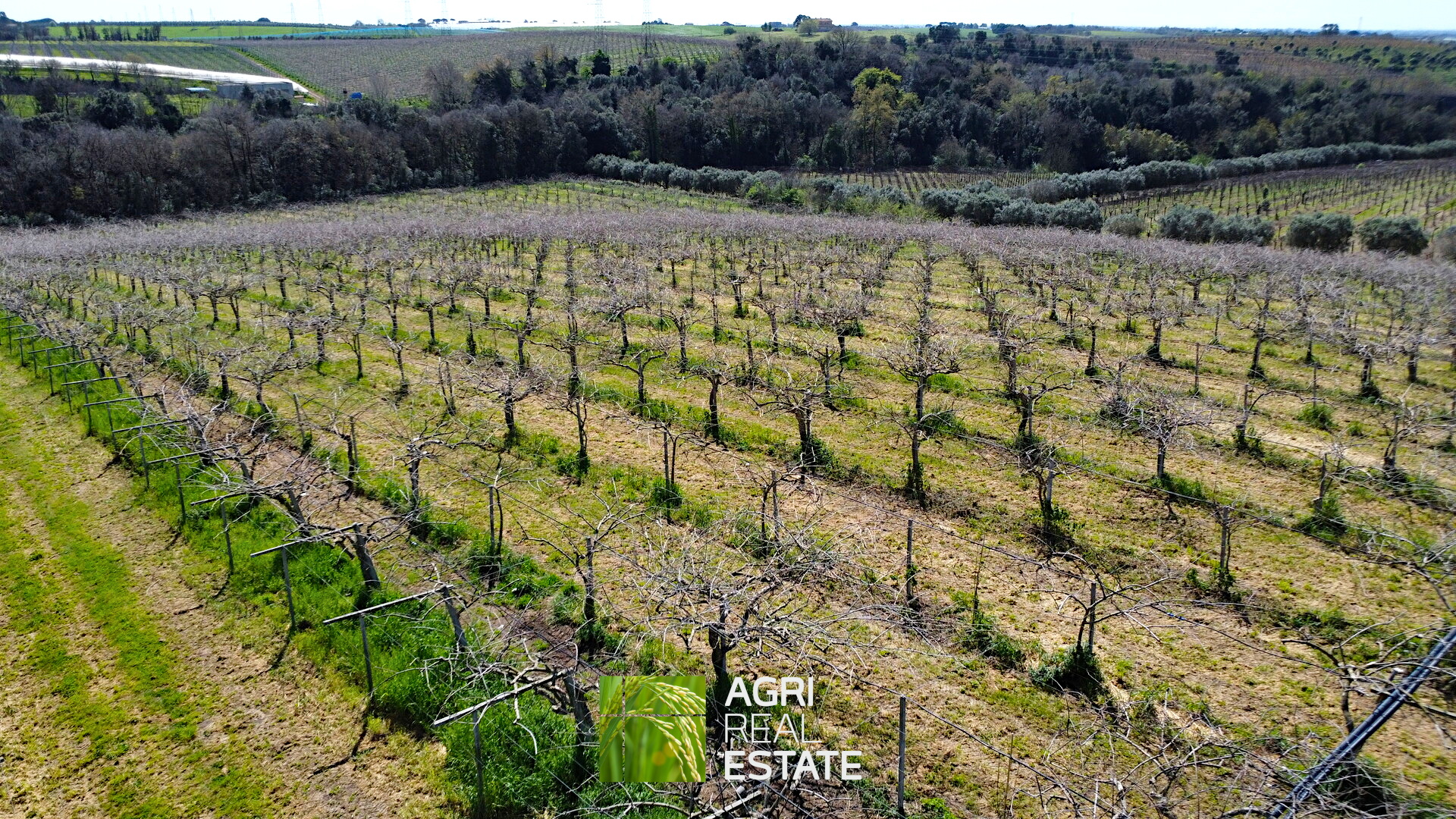 /api/file/public/264713/27149