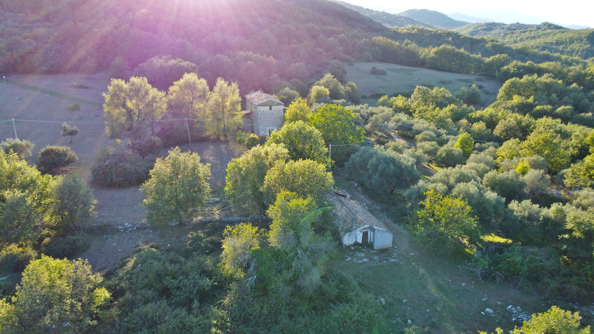 /api/file/public/264715/26708