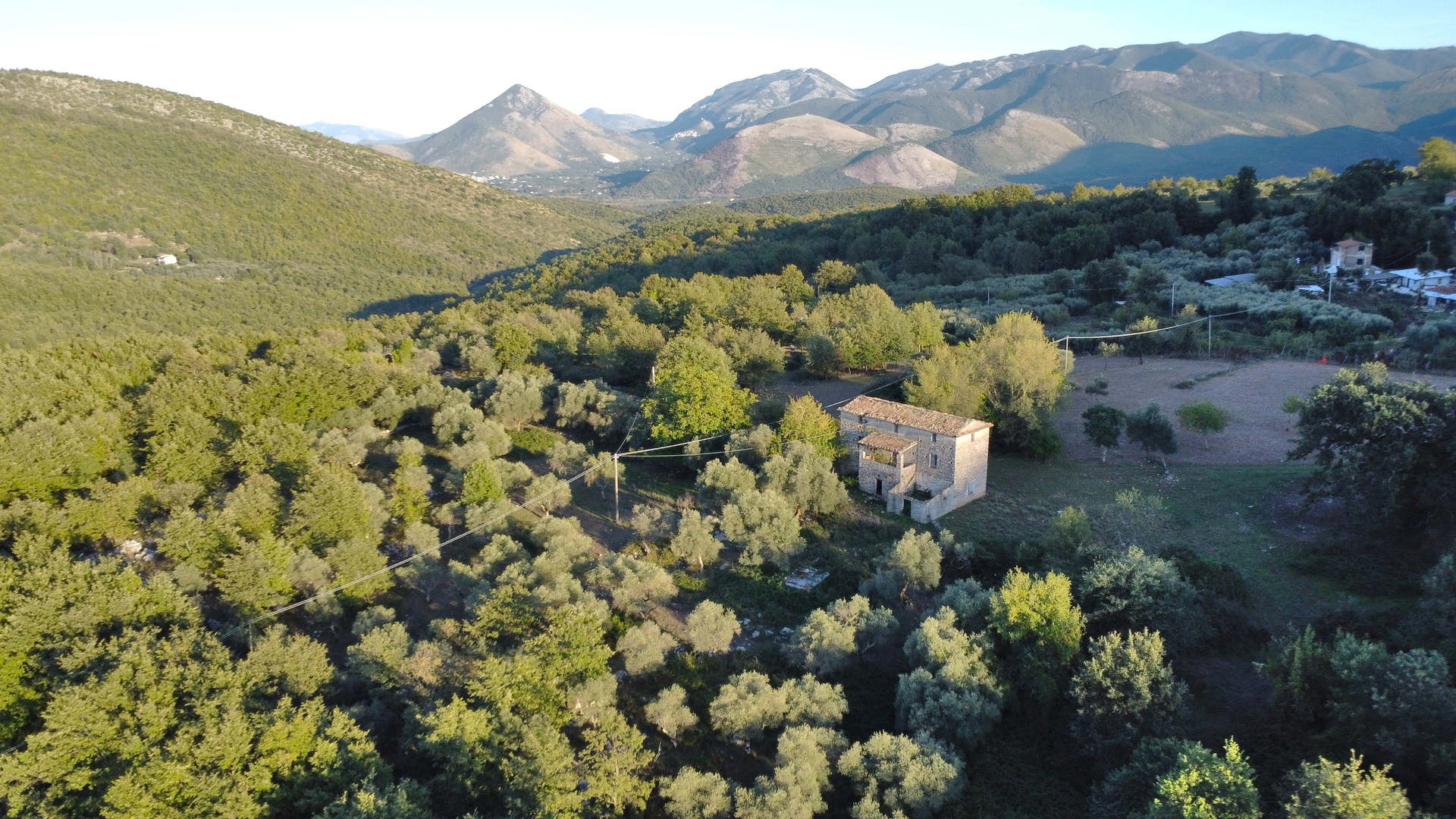 /api/file/public/264715/26709