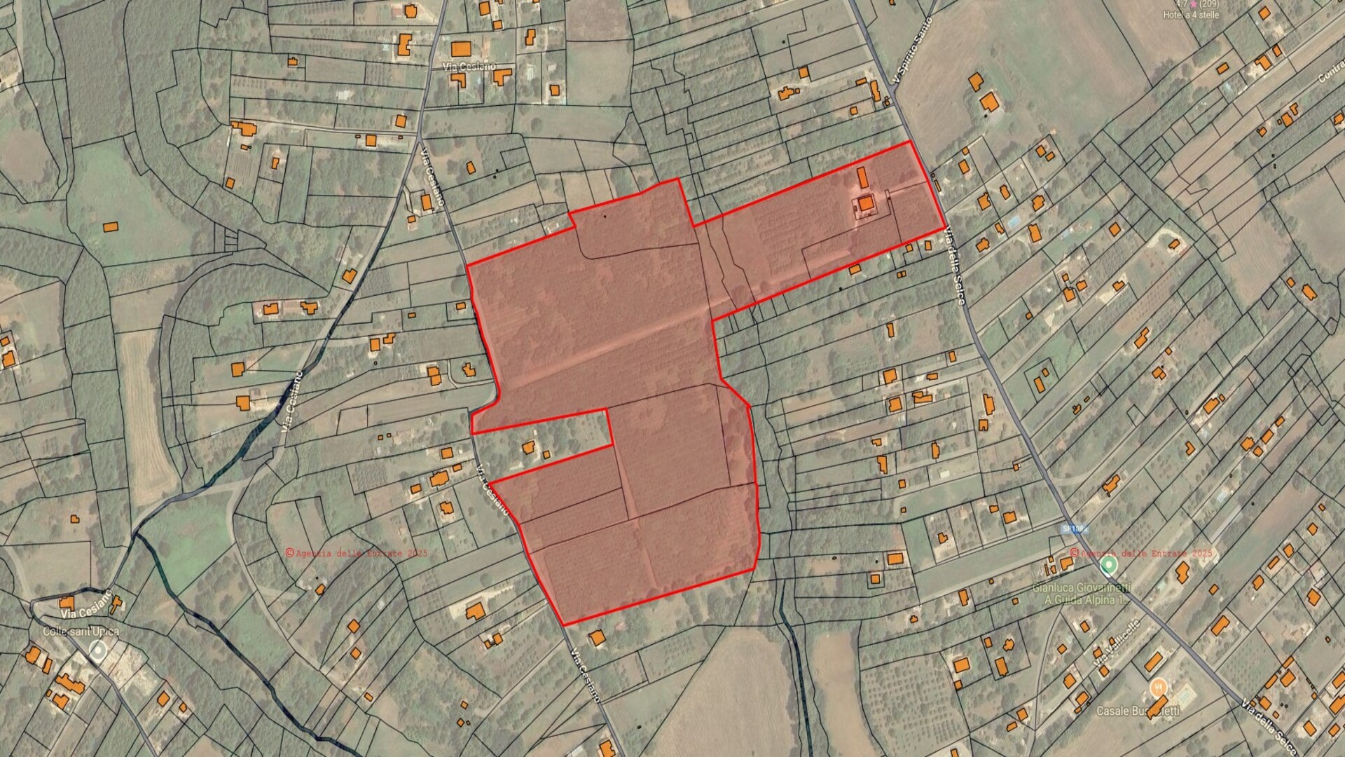 /api/file/public/264717/27076