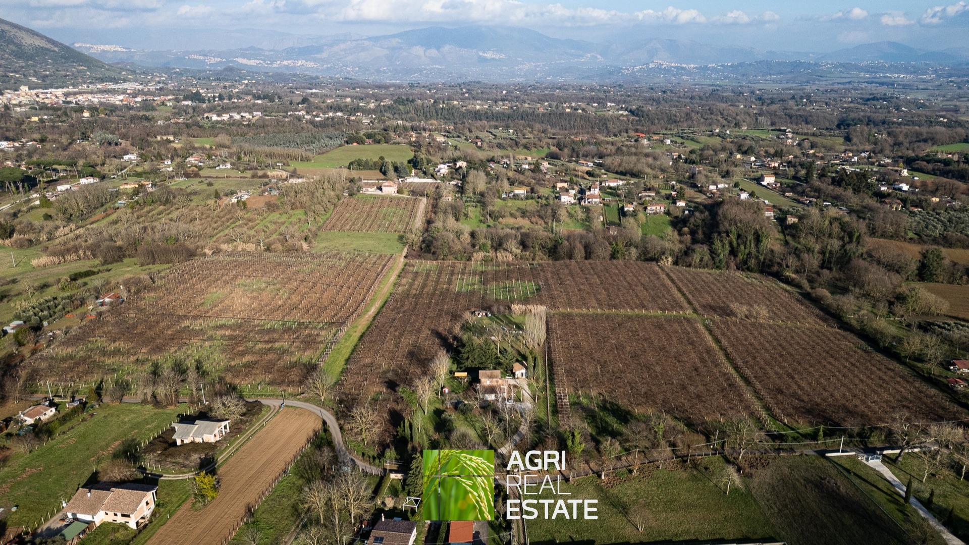 /api/file/public/264717/27079