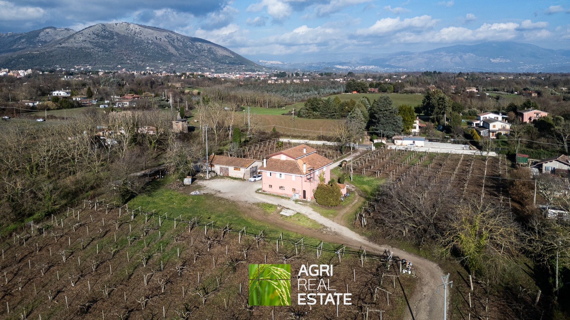 /api/file/public/264717/27081