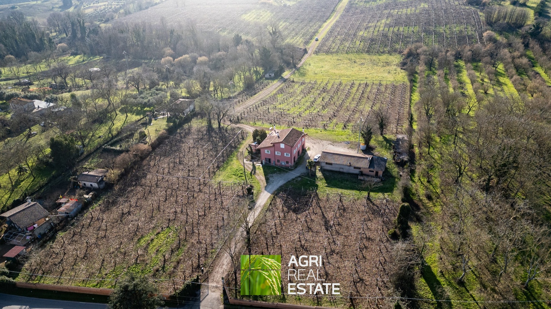 /api/file/public/264717/27082