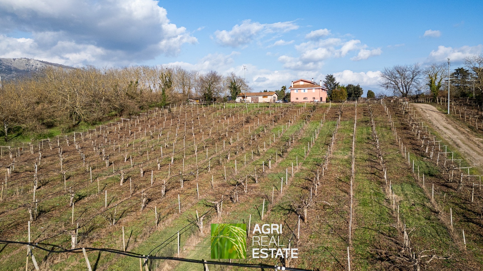 /api/file/public/264717/27083