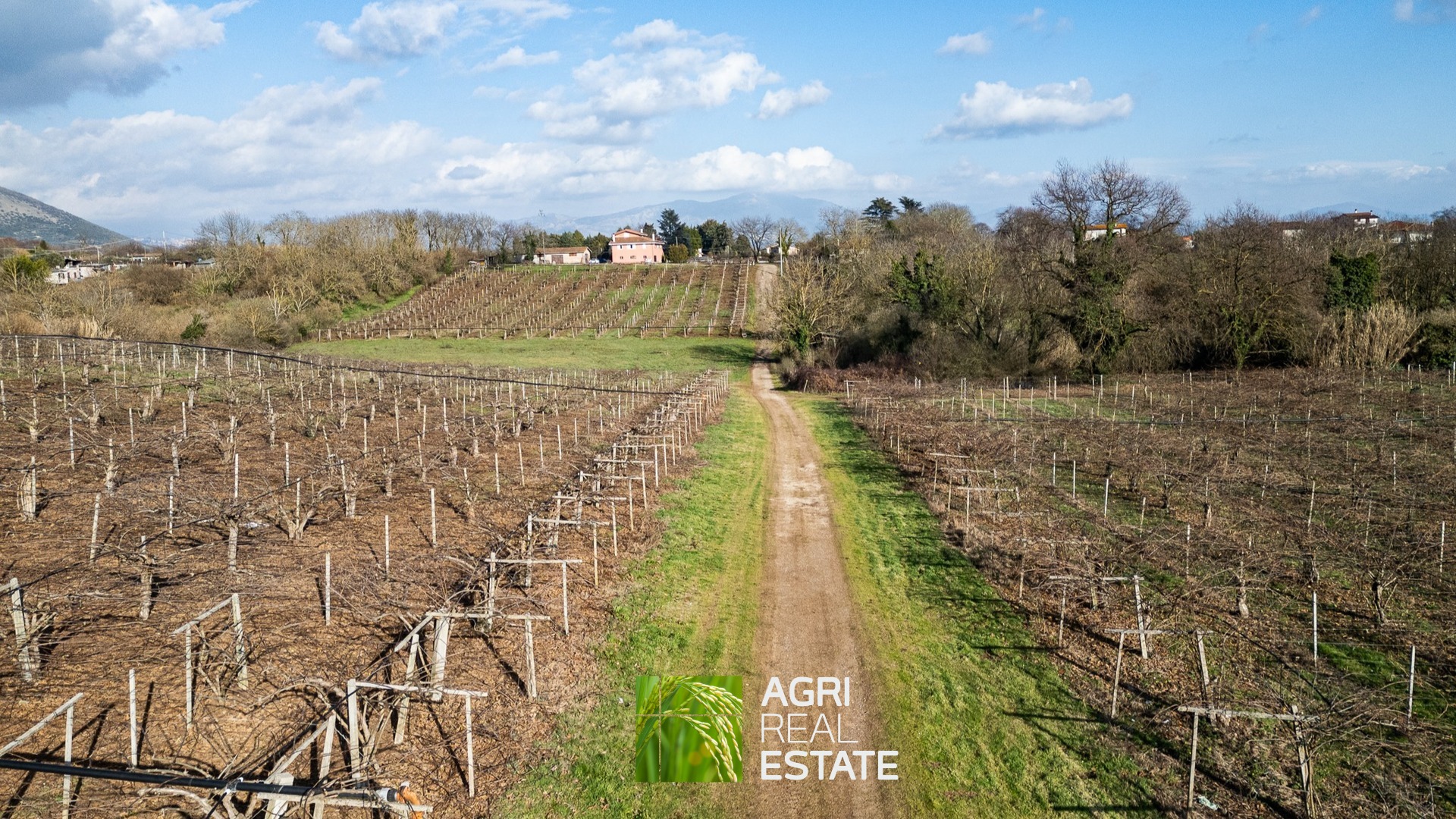 /api/file/public/264717/27084