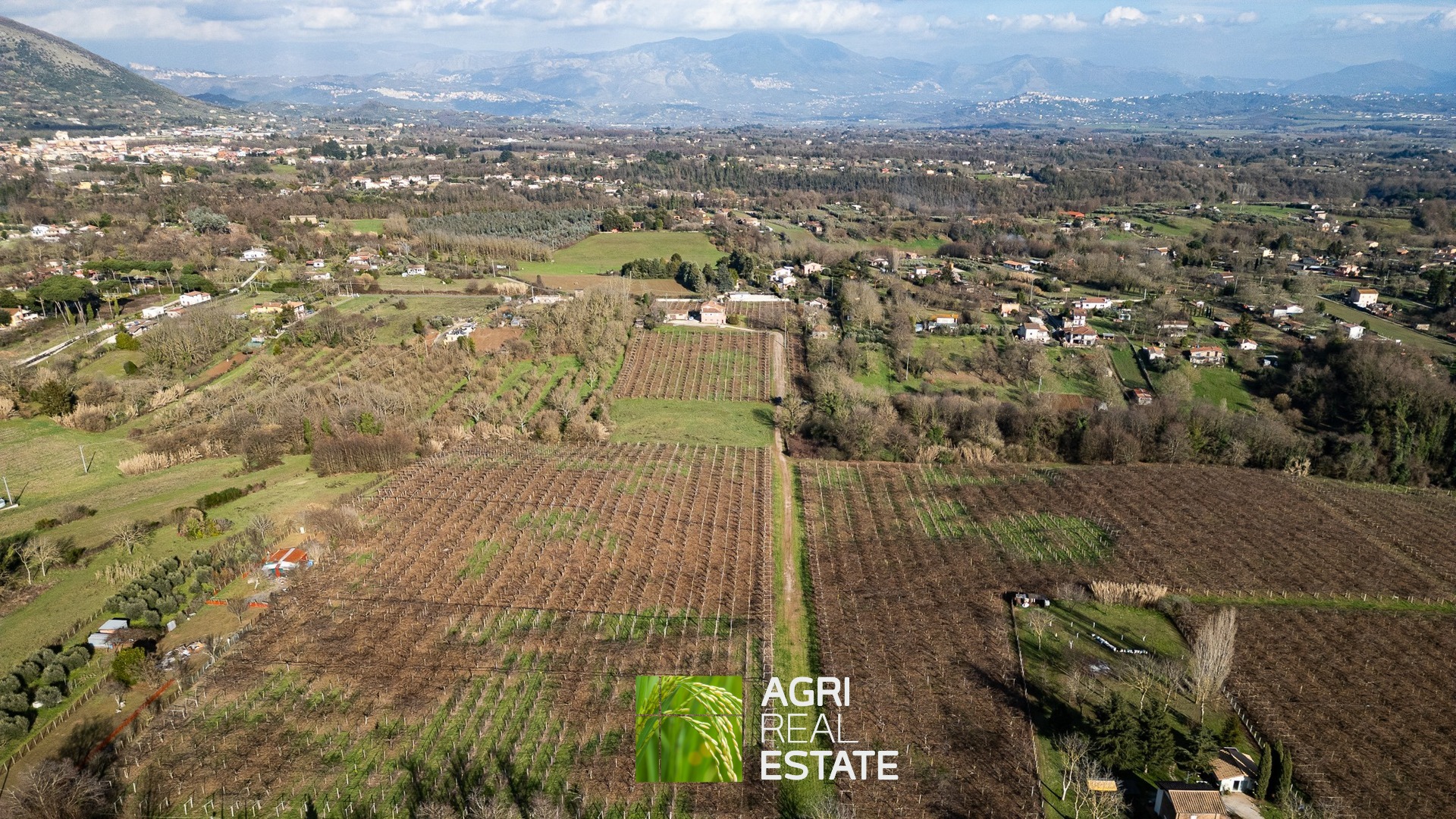 /api/file/public/264717/27086