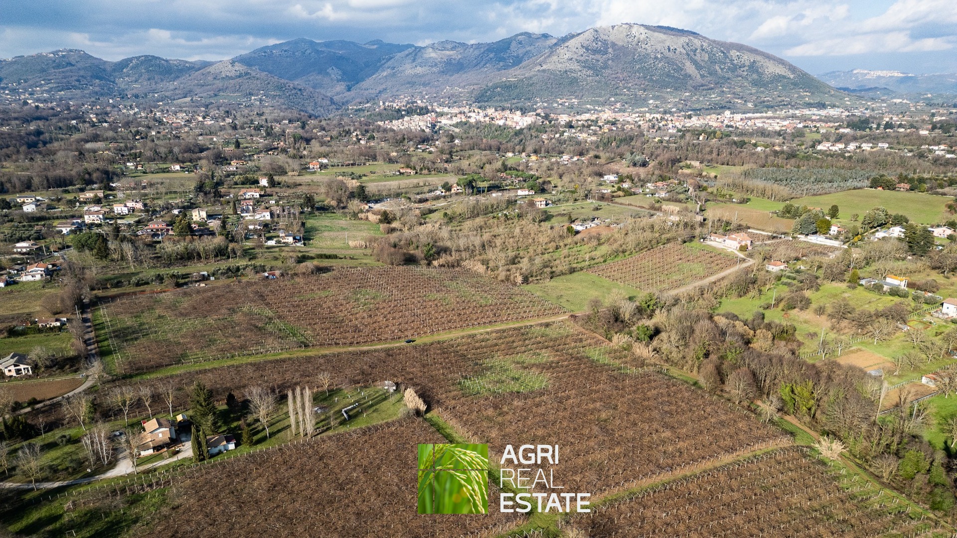 /api/file/public/264717/27088