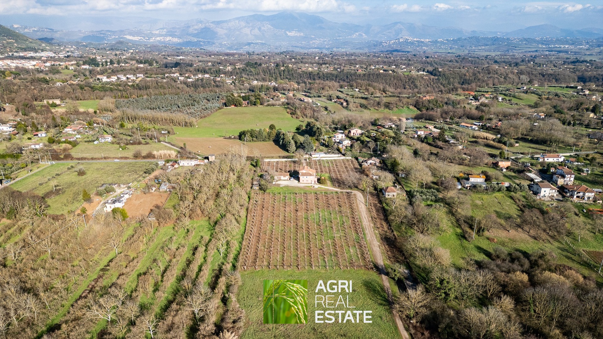 /api/file/public/264717/27089