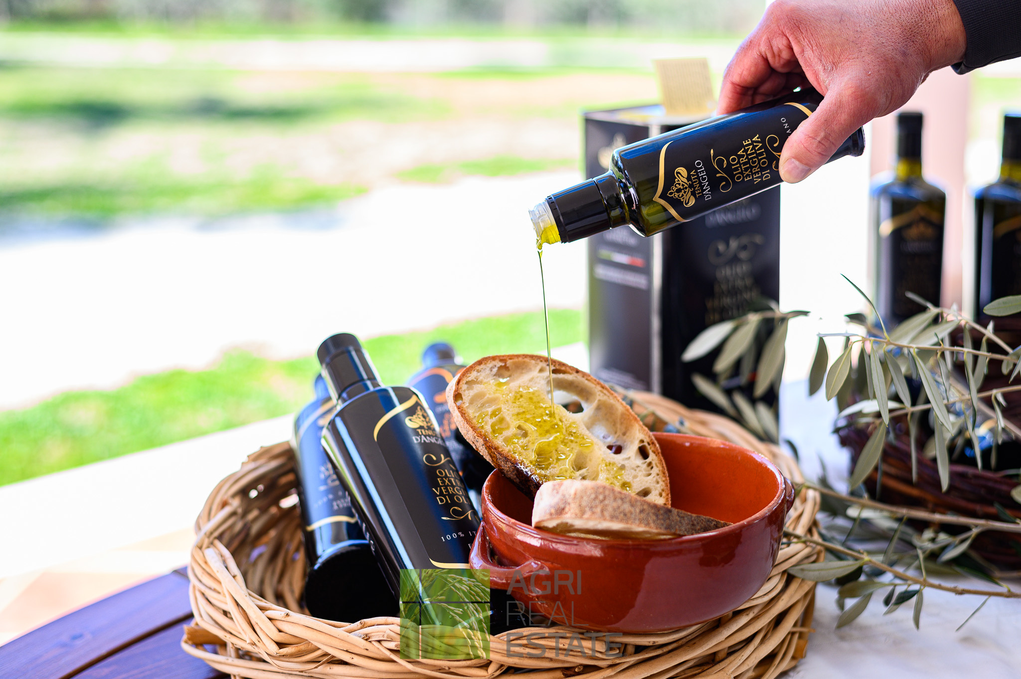 /api/file/public/264719/26730