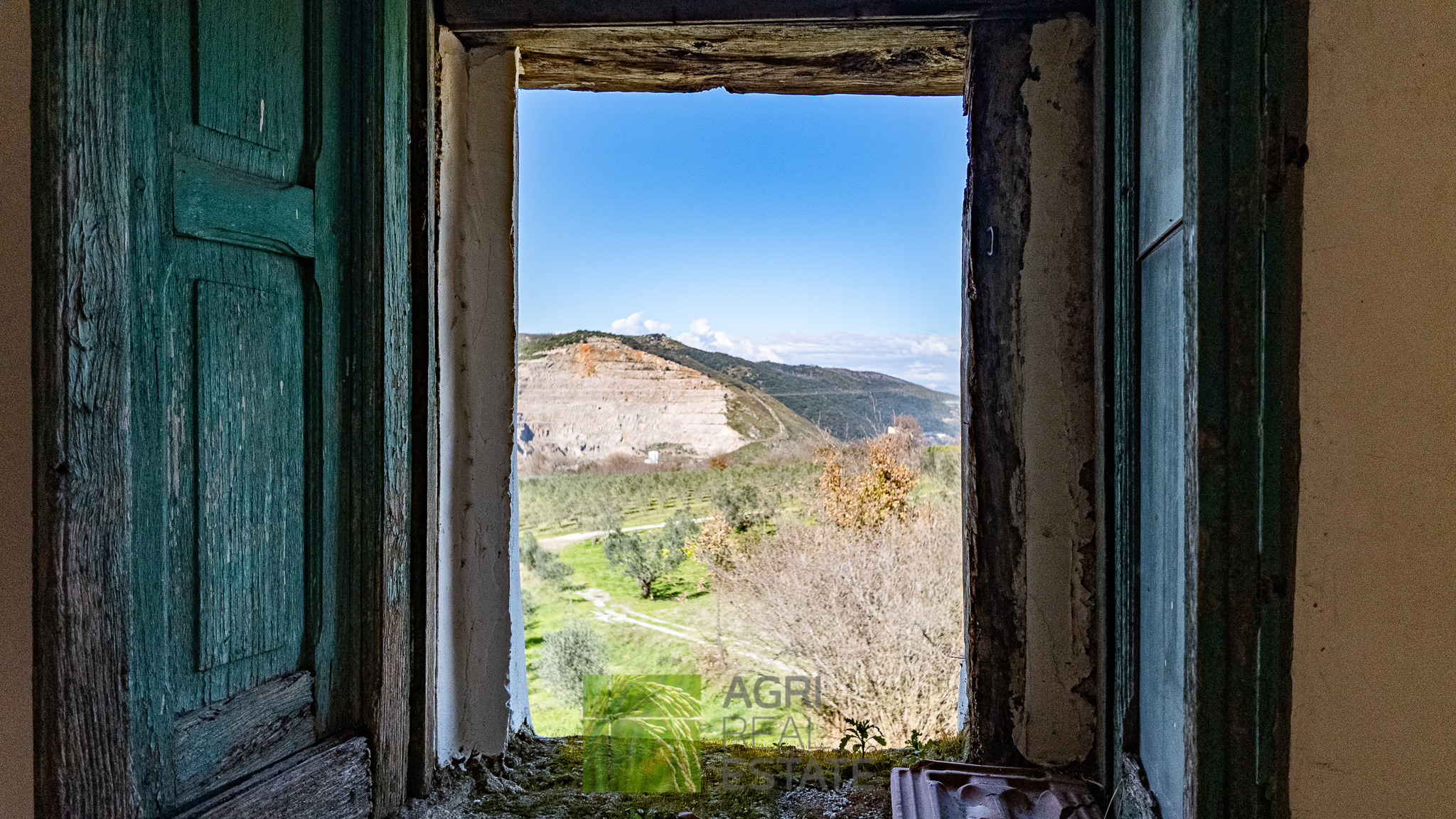 /api/file/public/264719/26732