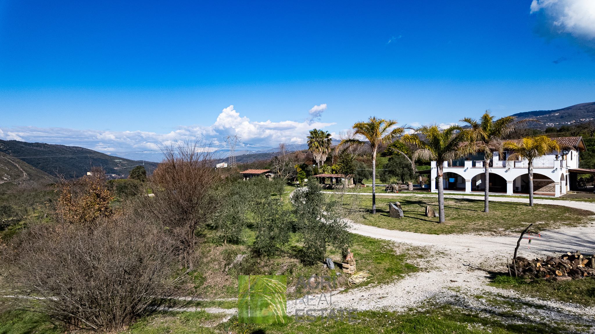 /api/file/public/264719/26733