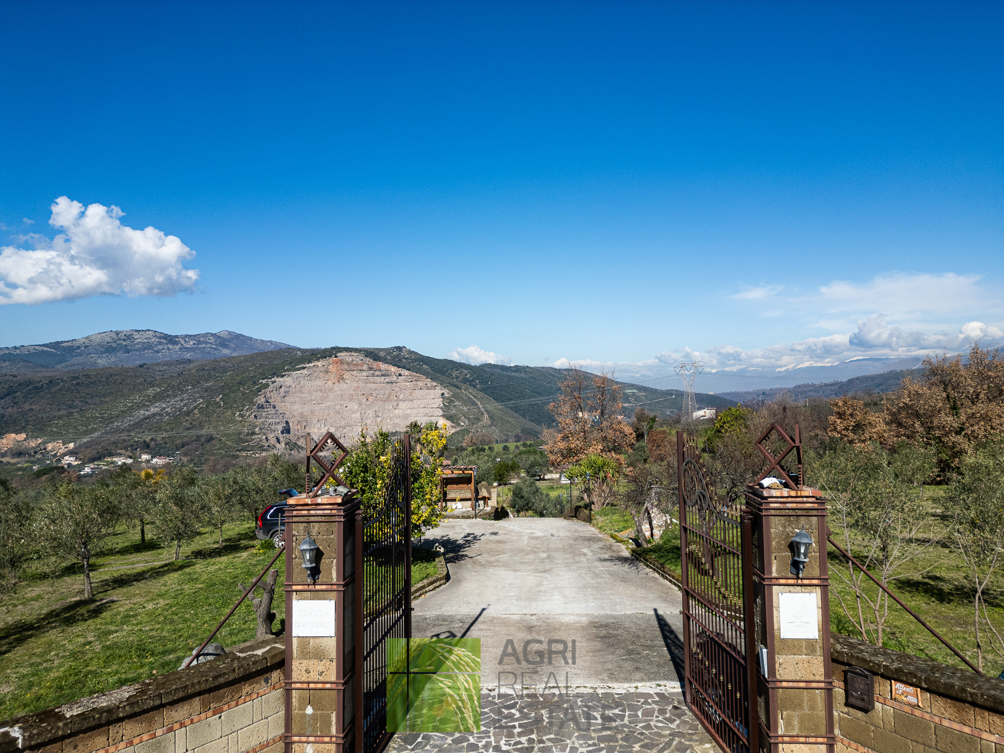 /api/file/public/264719/26734