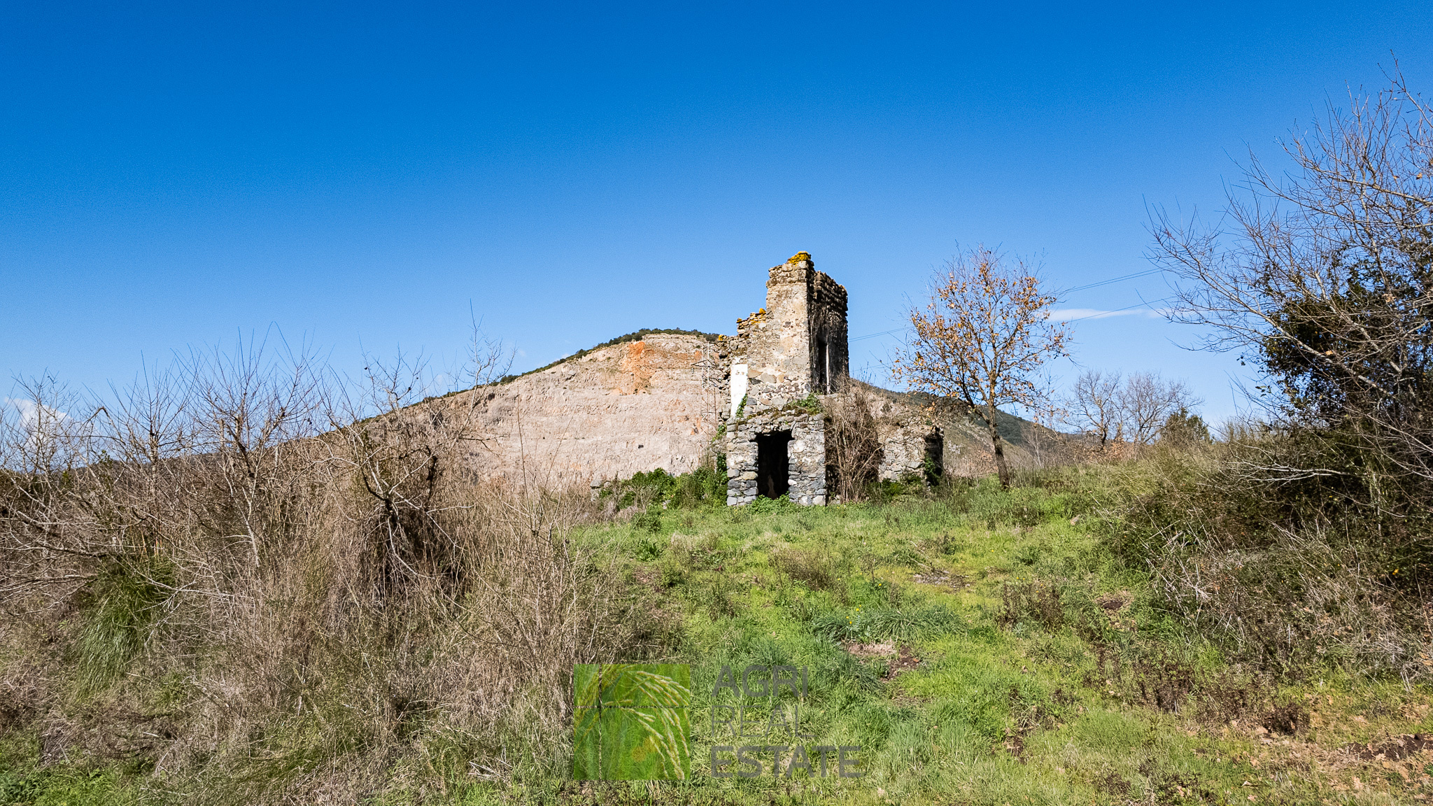 /api/file/public/264719/26735