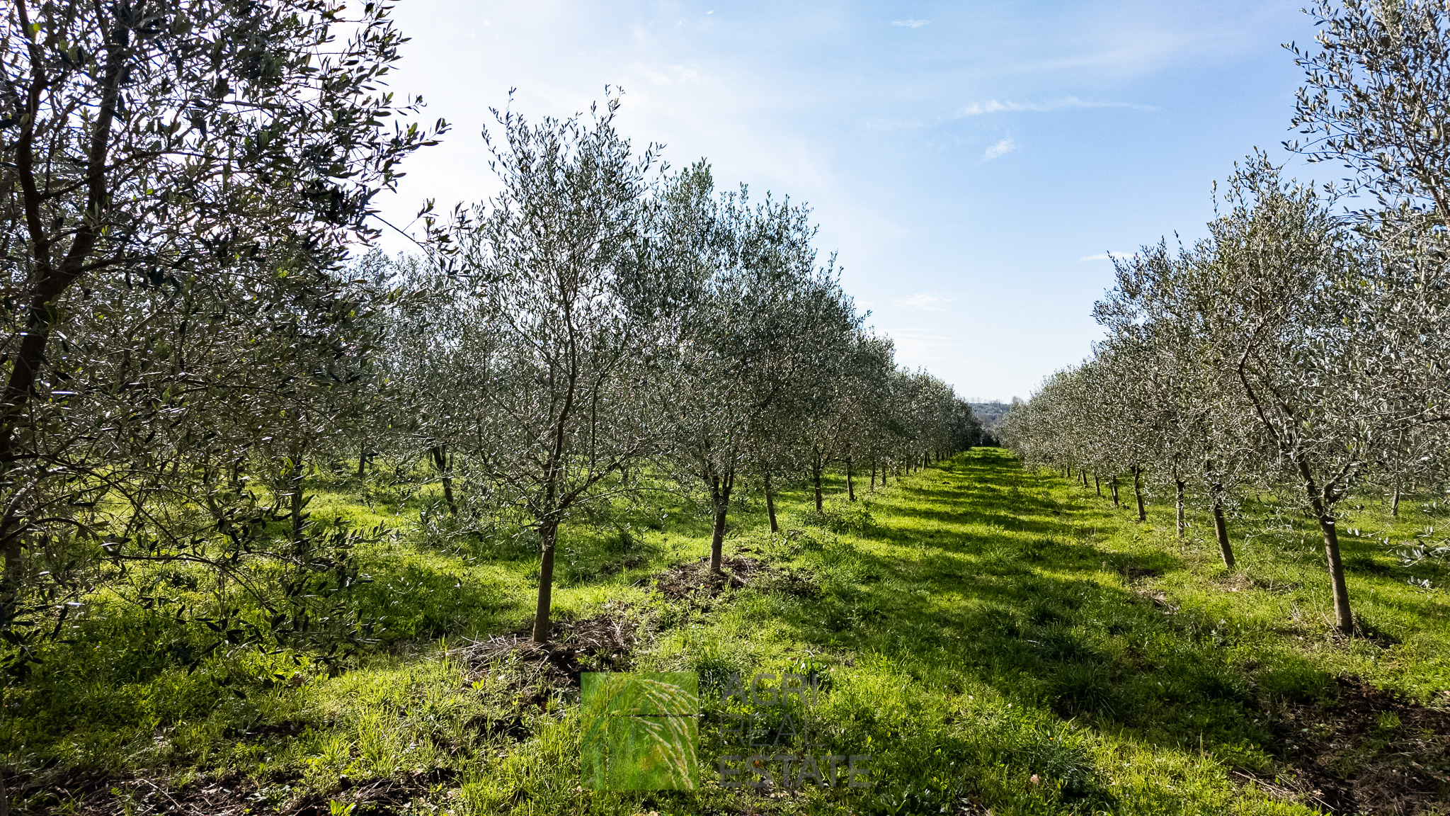 /api/file/public/264719/26739