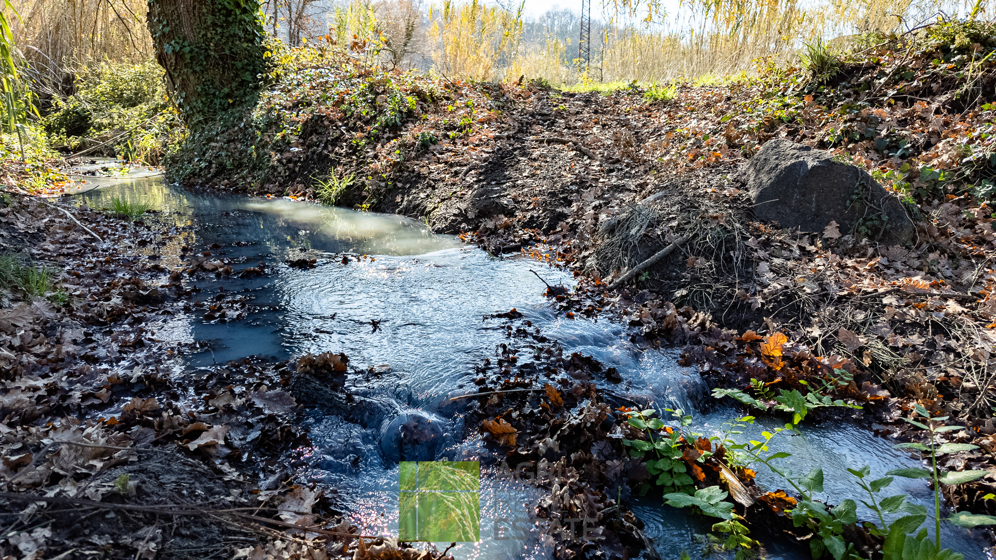 /api/file/public/264719/26741