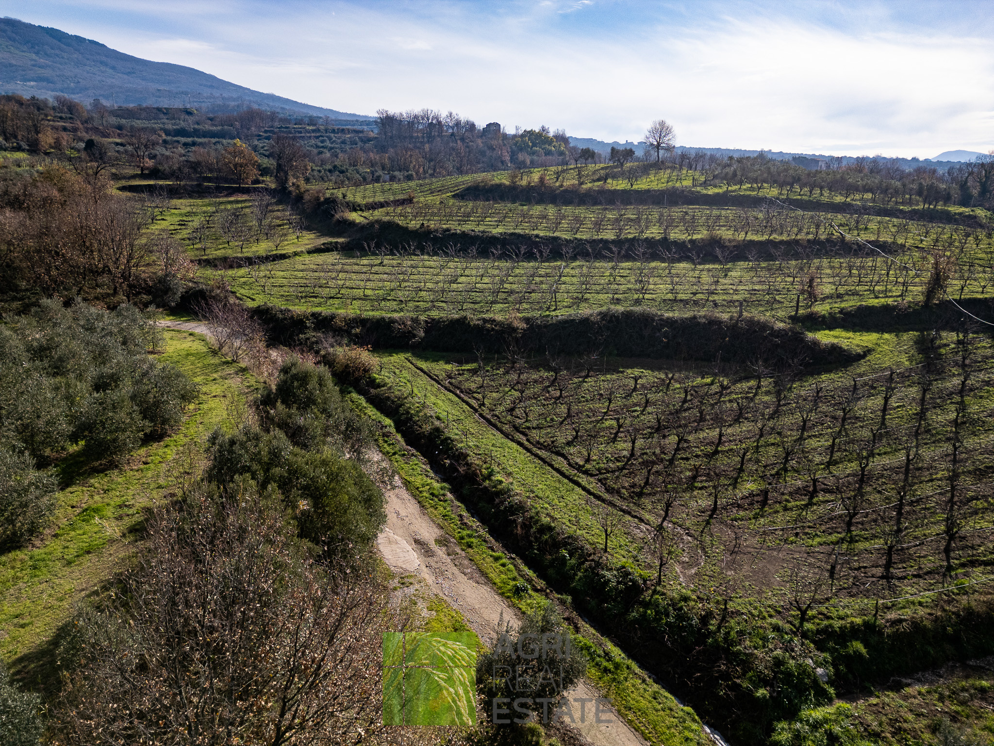 /api/file/public/264719/26742