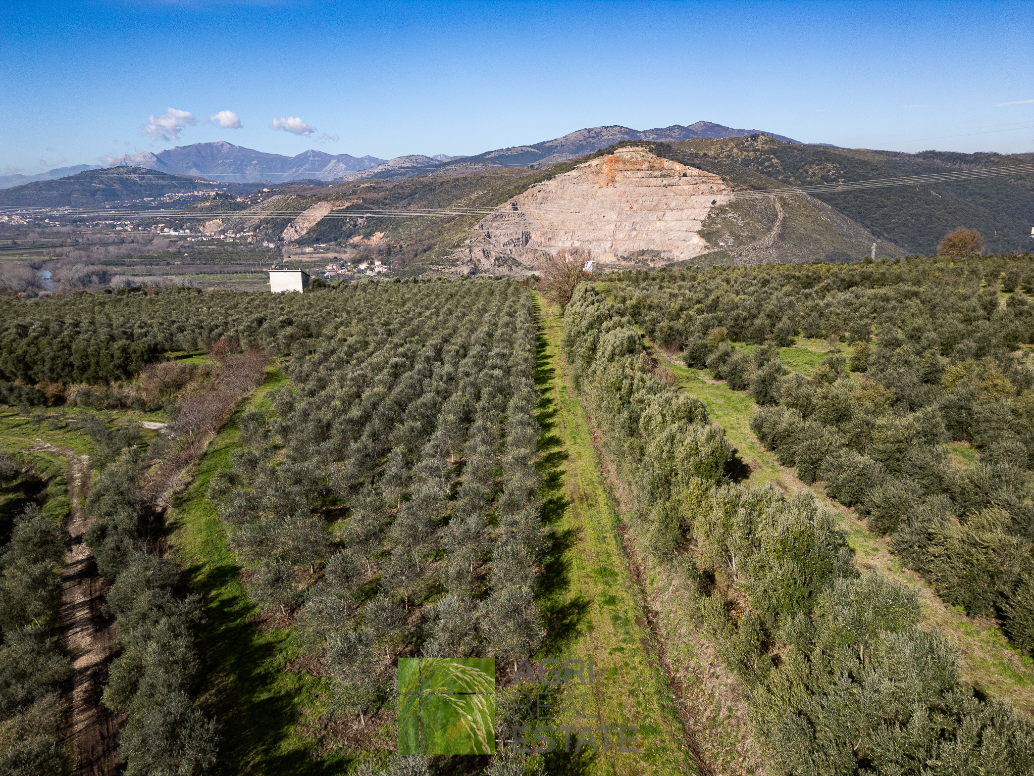 /api/file/public/264719/26743