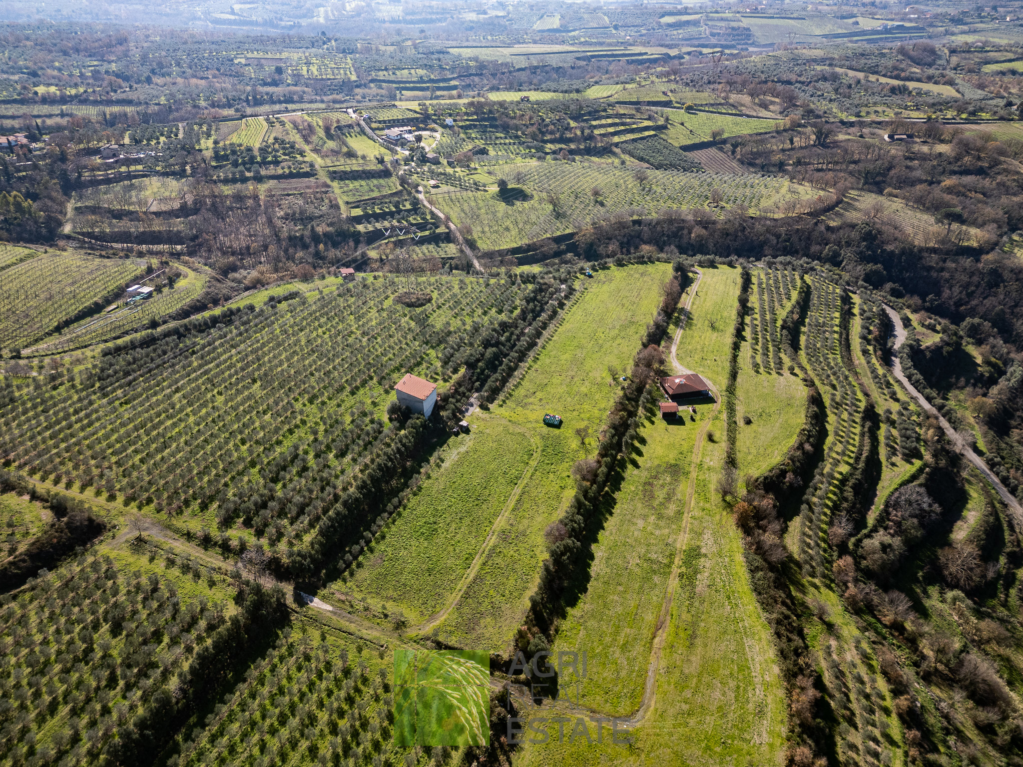 /api/file/public/264719/26745