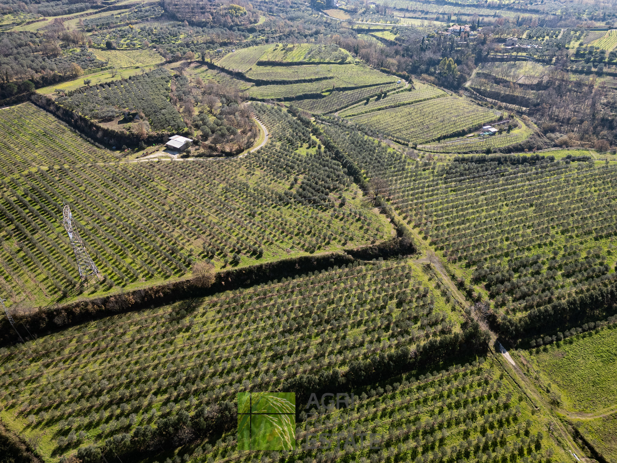 /api/file/public/264719/26746