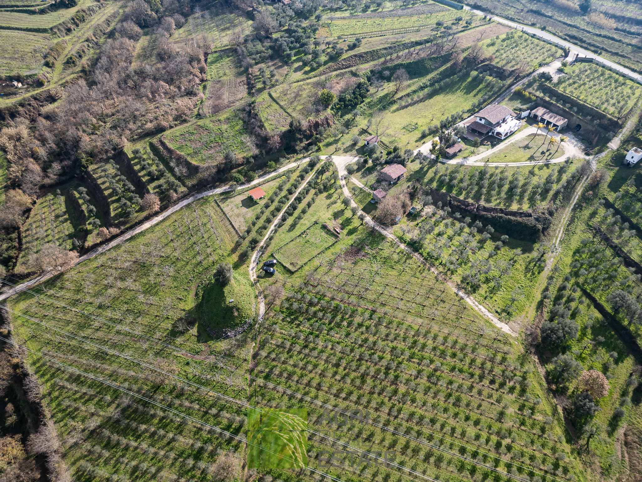 /api/file/public/264719/26748