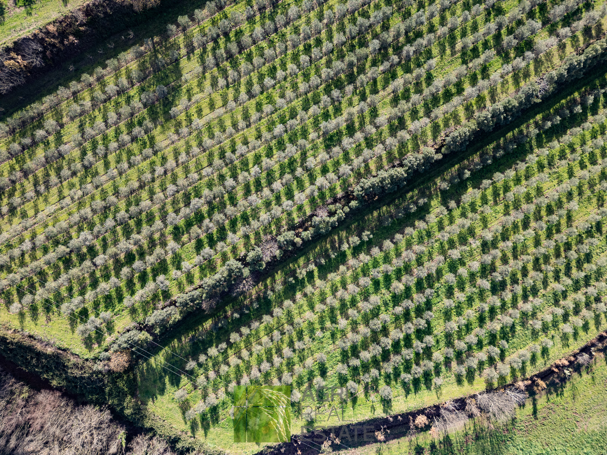 /api/file/public/264719/26750