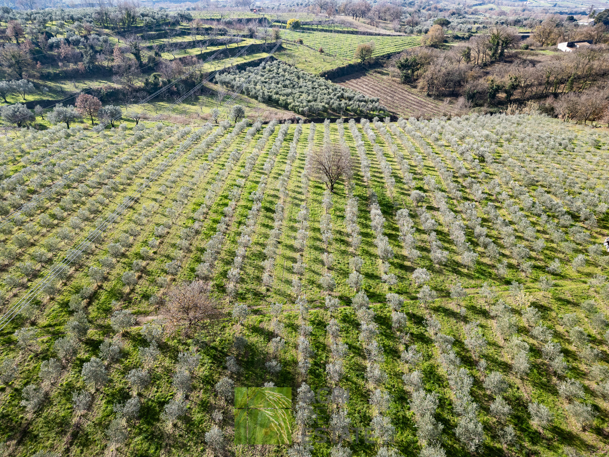 /api/file/public/264719/26751