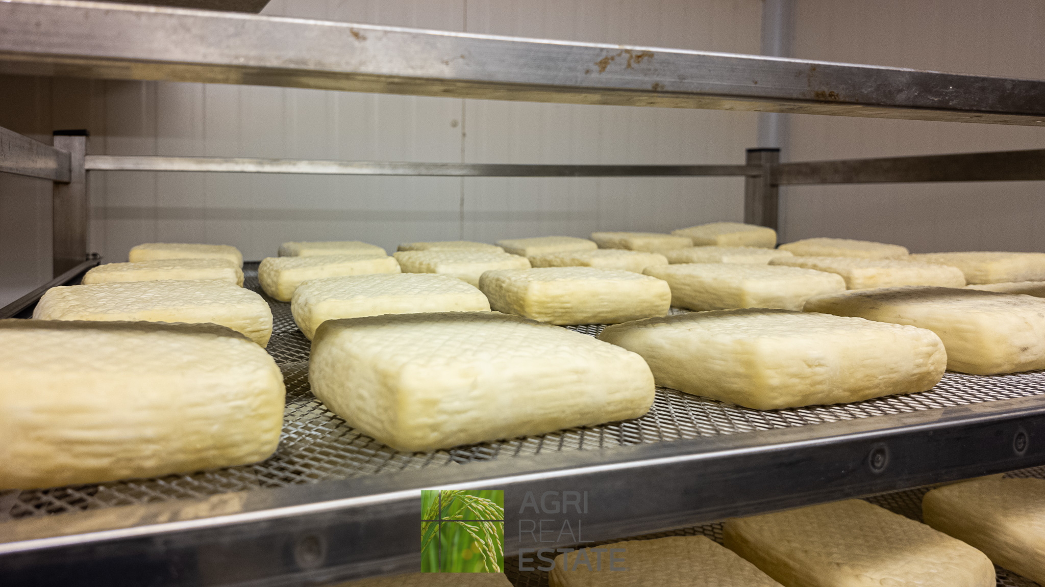 /api/file/public/264720/26753