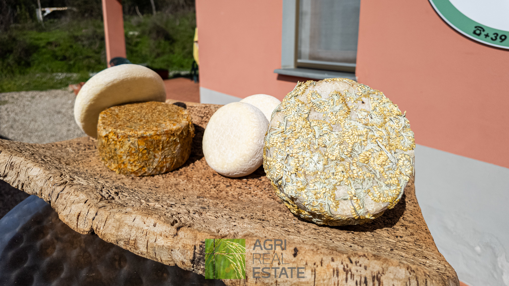 /api/file/public/264720/26754