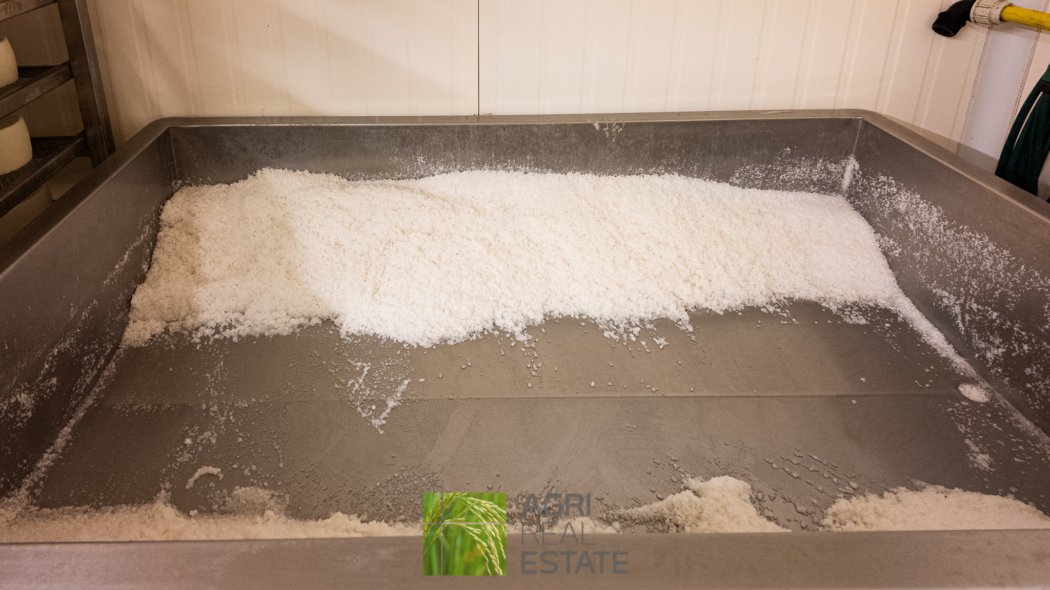 /api/file/public/264720/26756