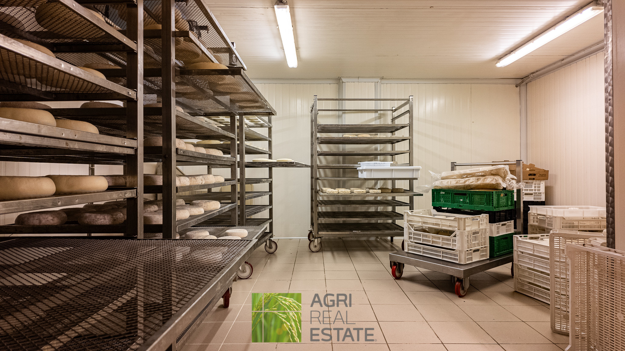 /api/file/public/264720/26758