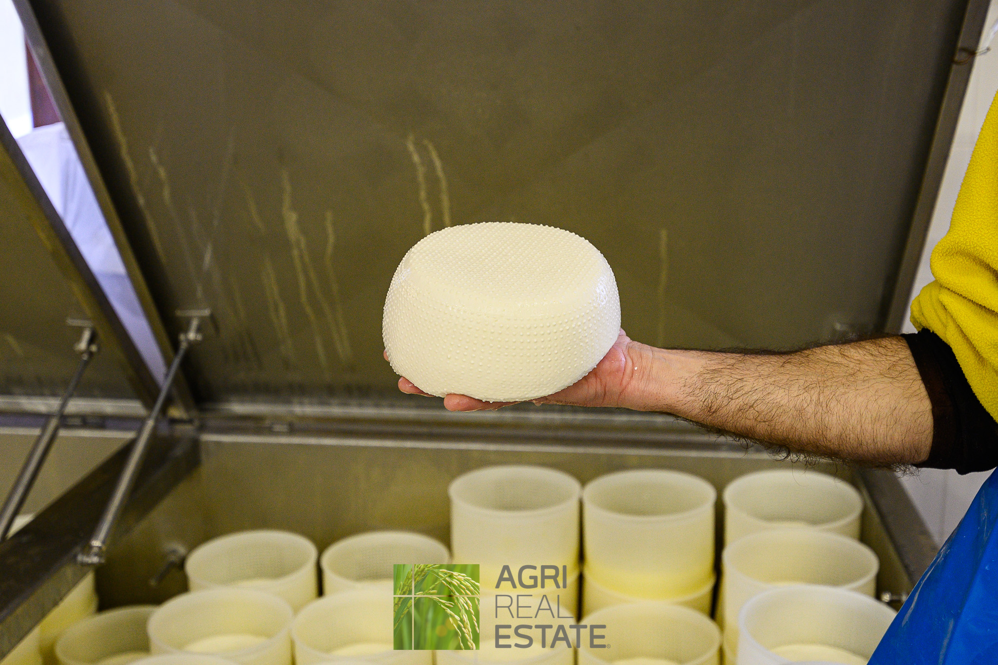 /api/file/public/264720/26760