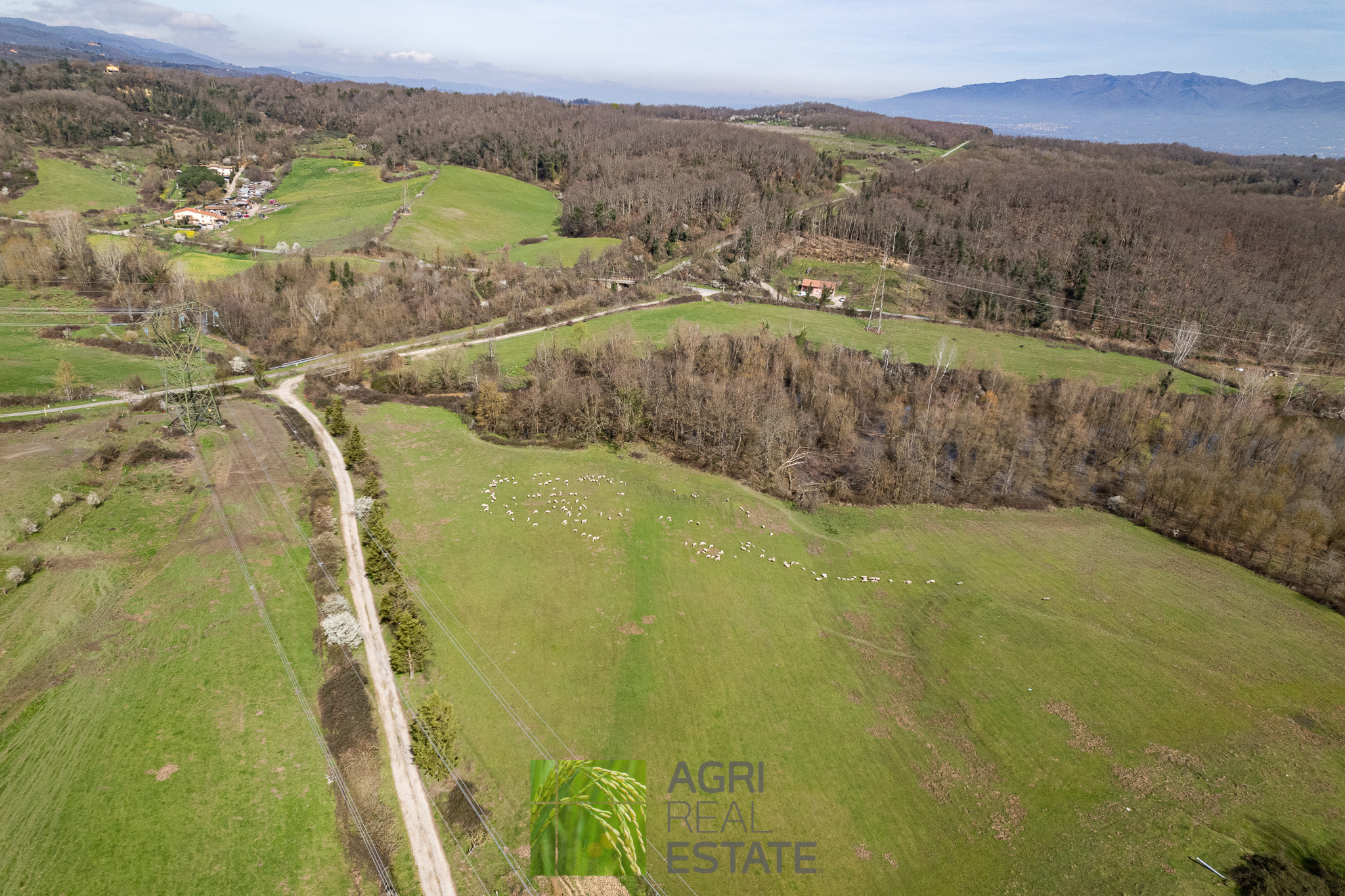 /api/file/public/264720/26766