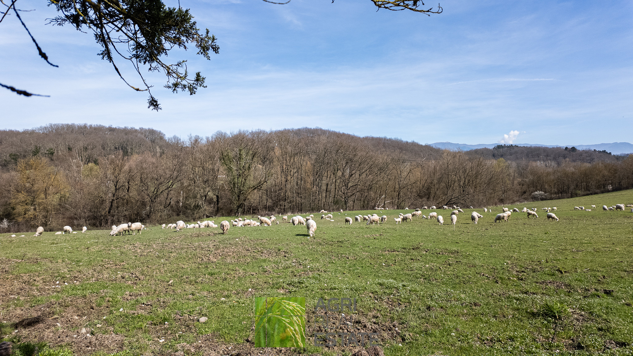 /api/file/public/264720/26767