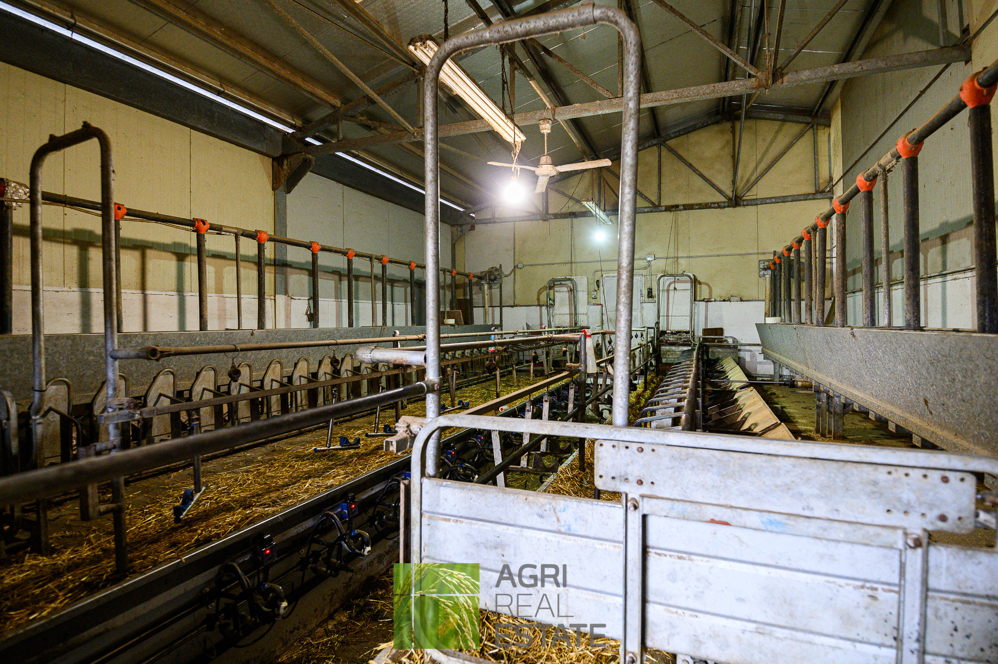 /api/file/public/264720/26768