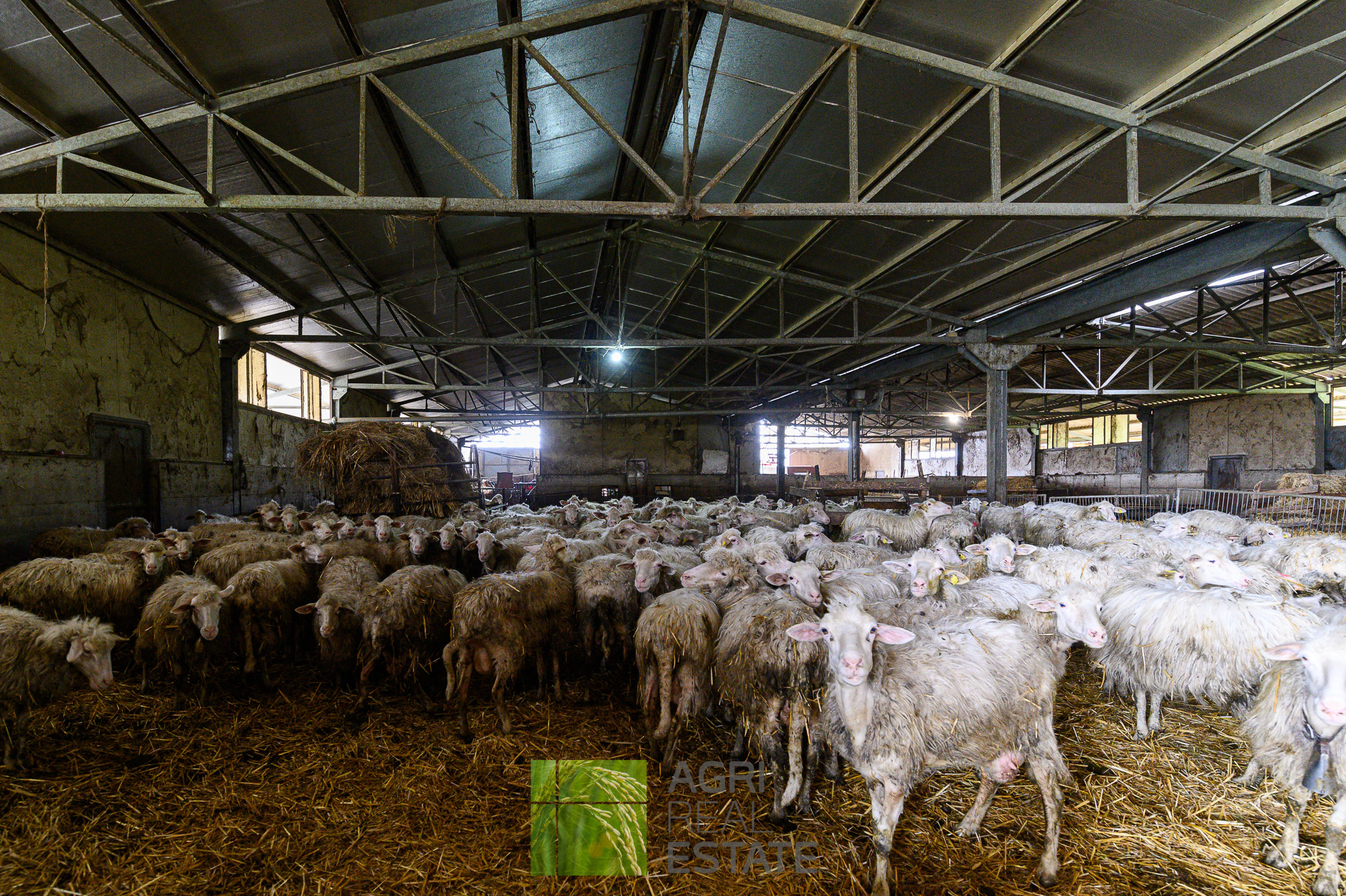 /api/file/public/264720/26770