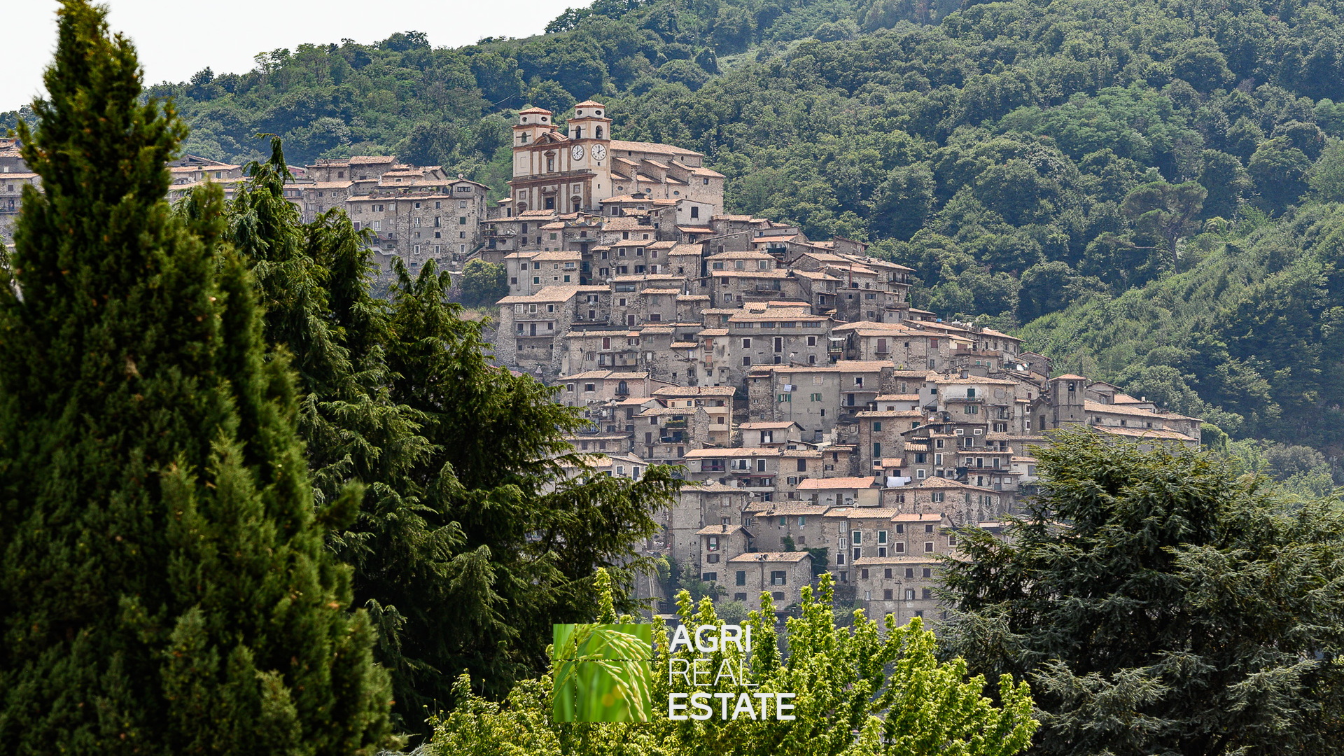 /api/file/public/264721/26778