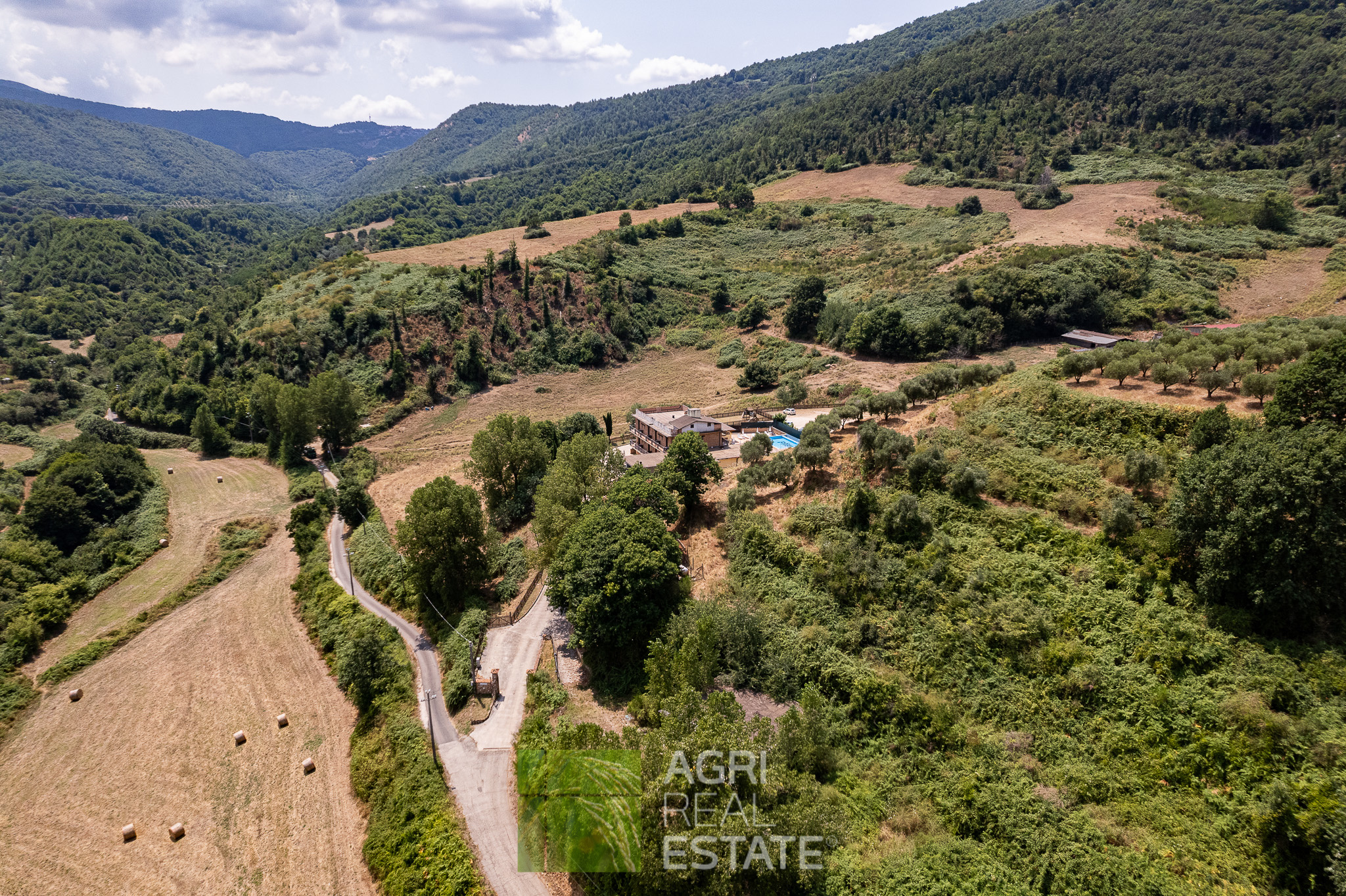 /api/file/public/264721/26793