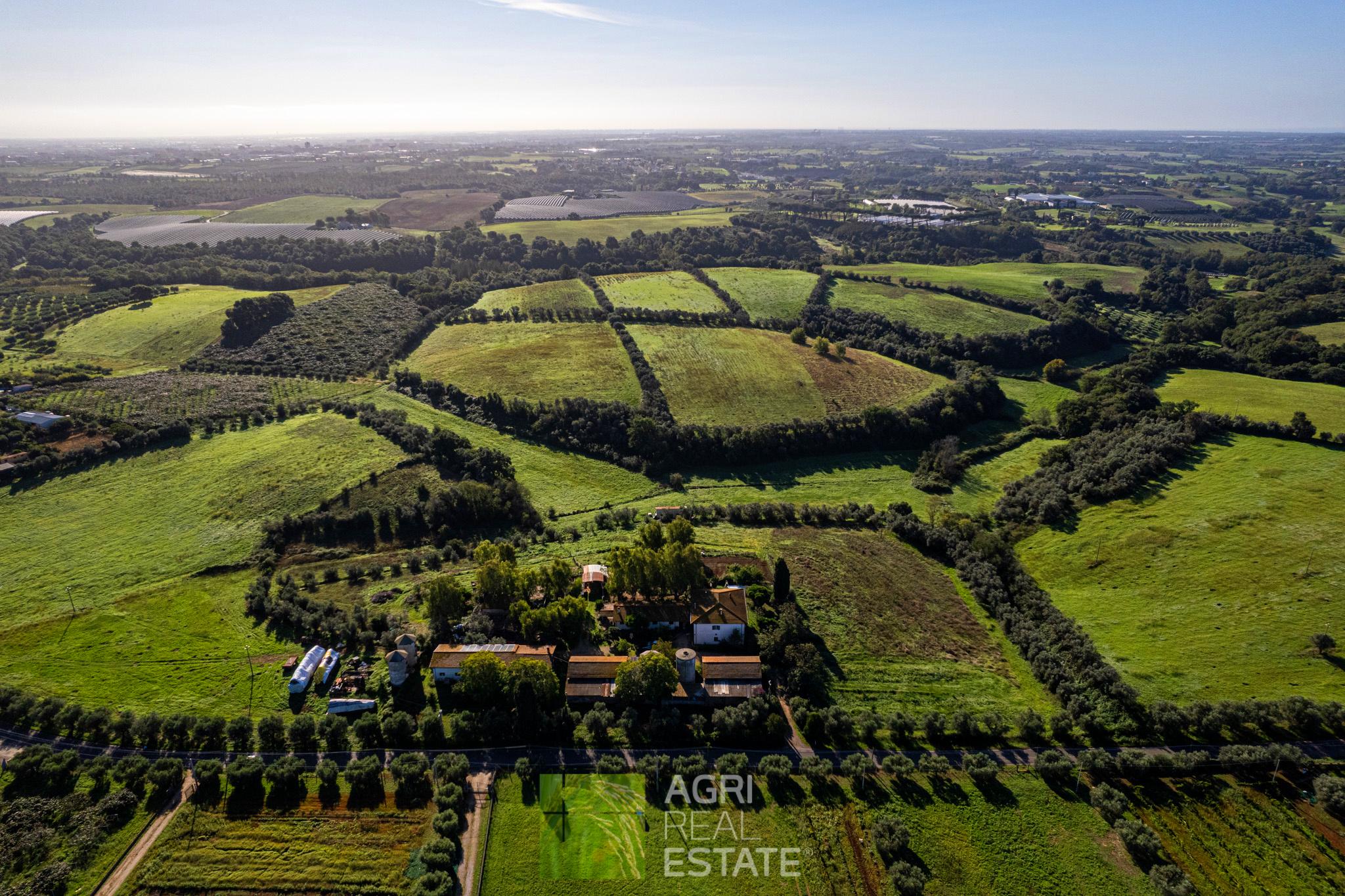 /api/file/public/264722/26794