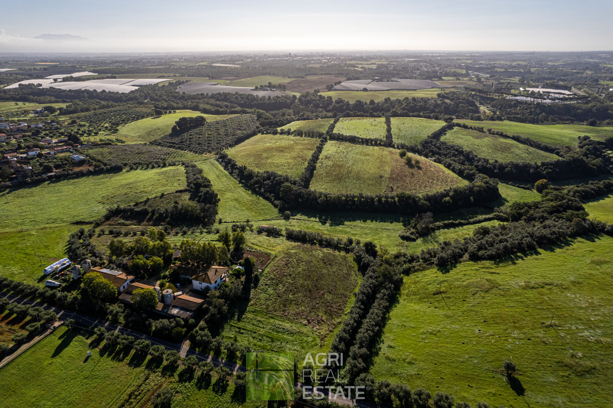 /api/file/public/264722/26801