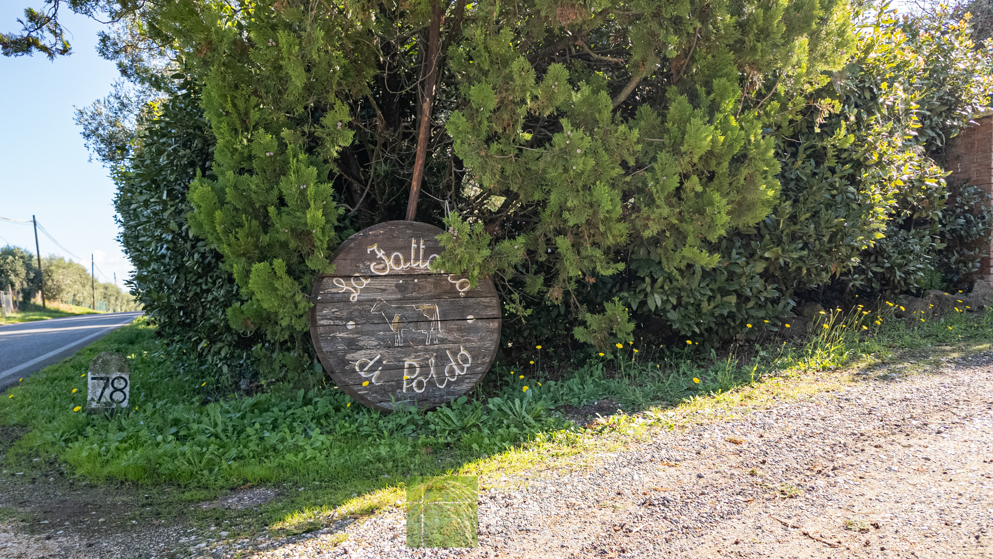 /api/file/public/264722/26809