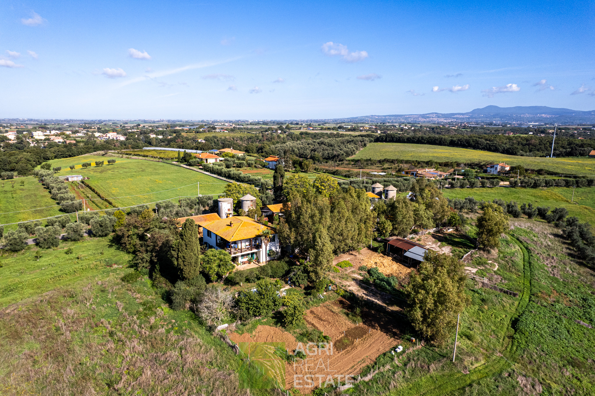 /api/file/public/264722/26810