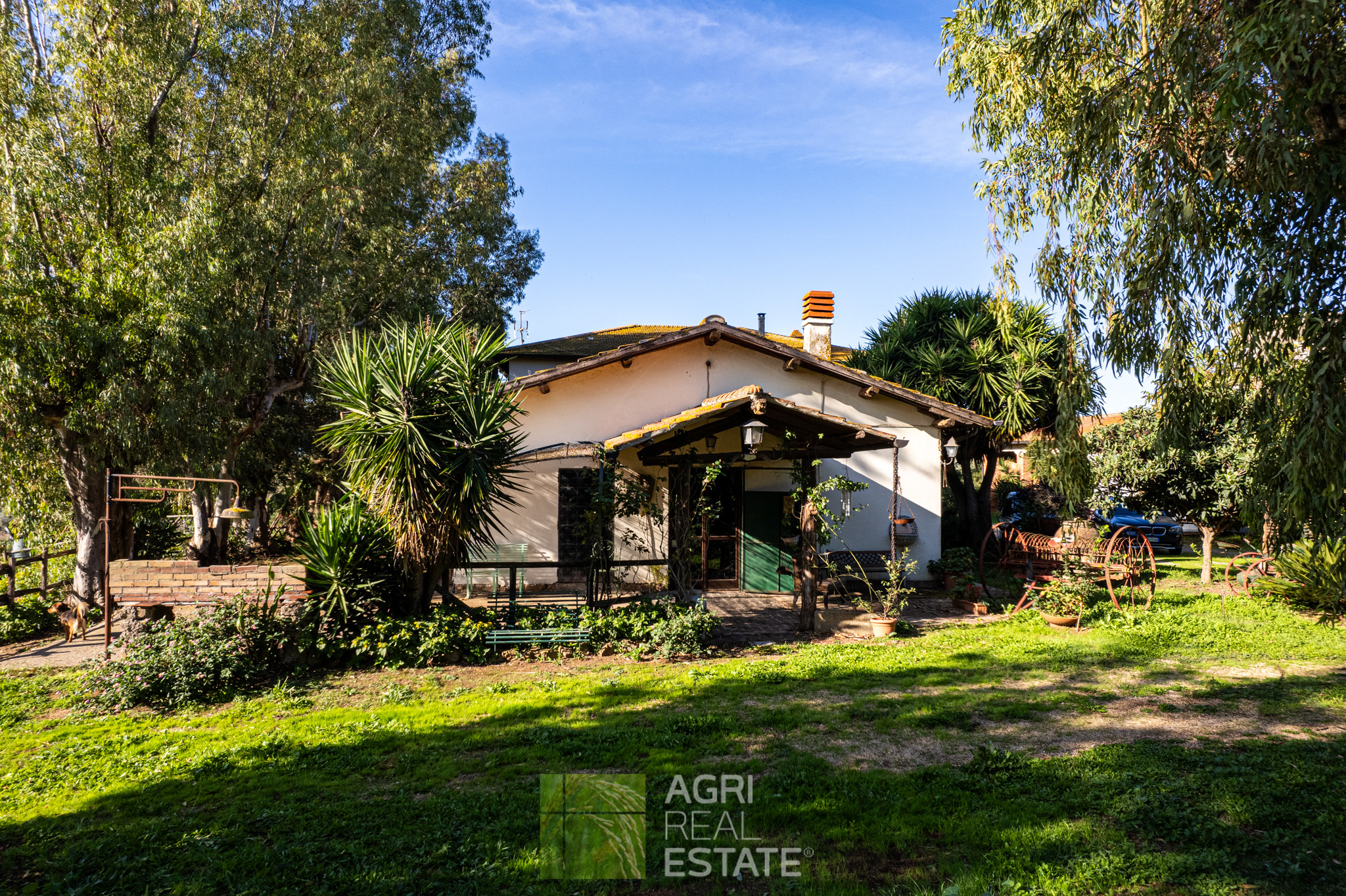 /api/file/public/264722/26812