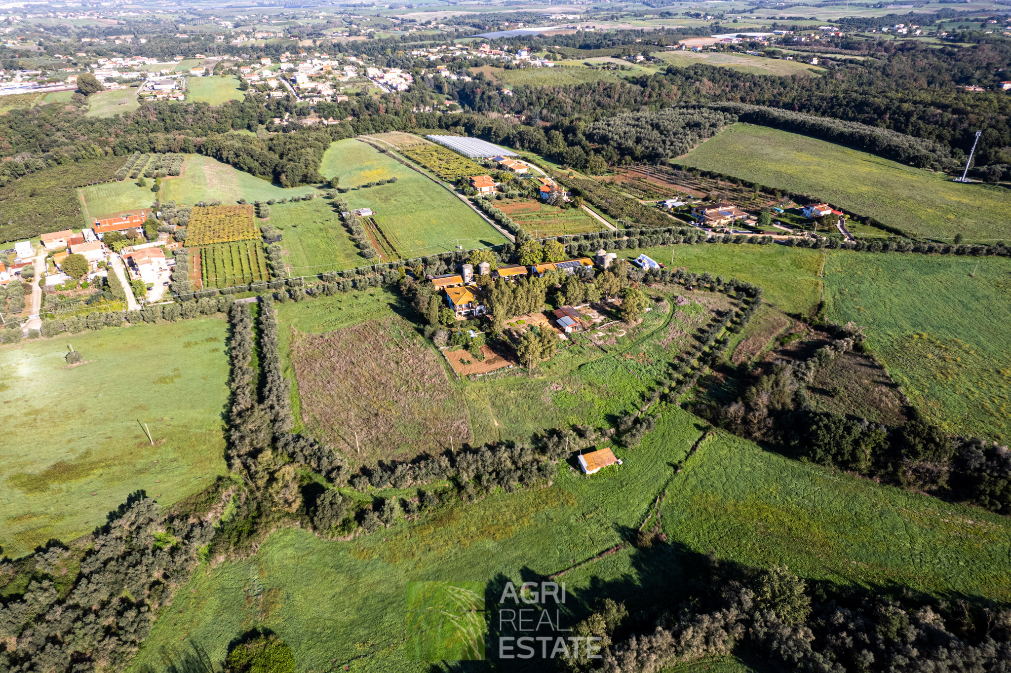 /api/file/public/264722/26814