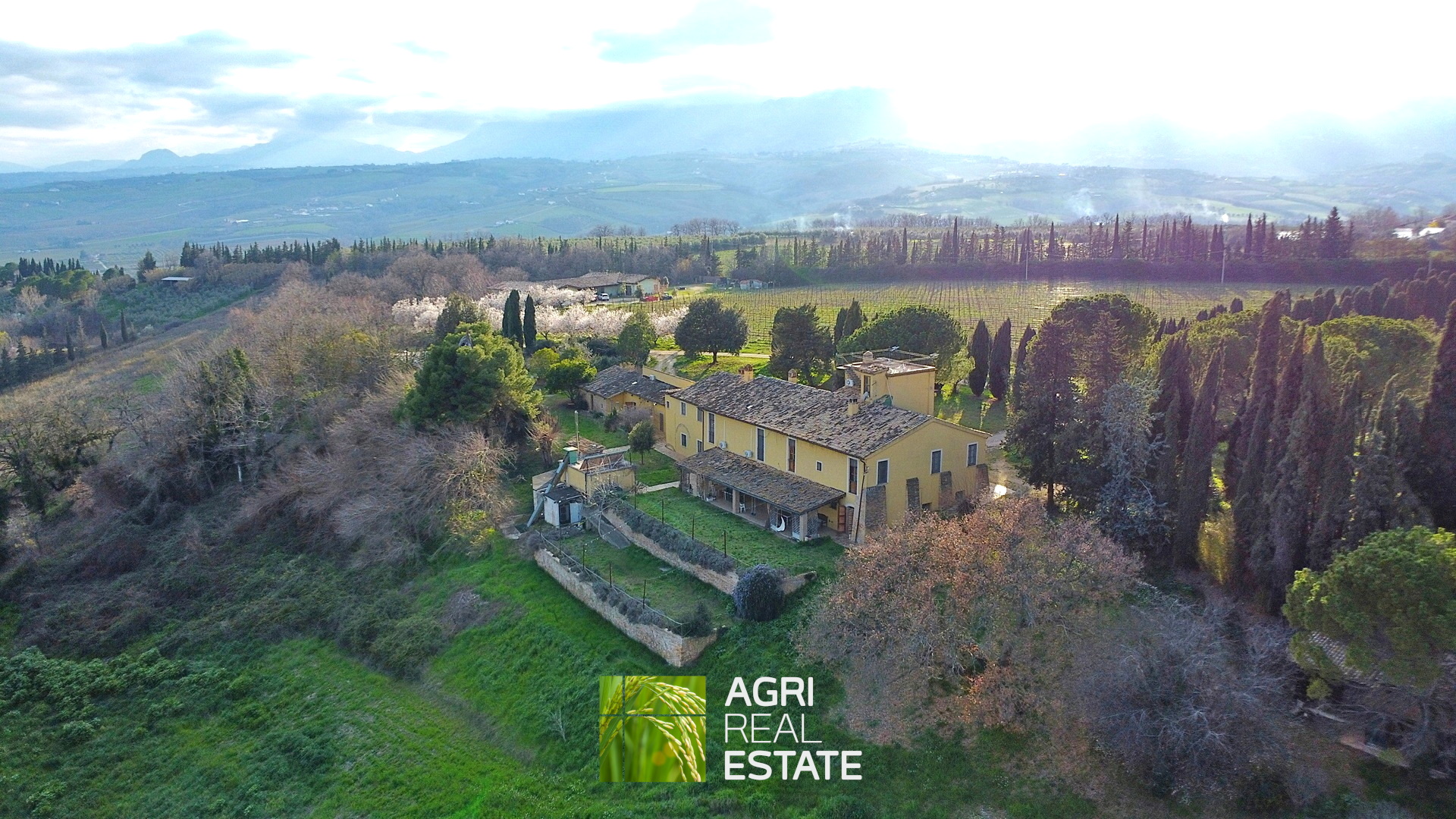 /api/file/public/264726/26897