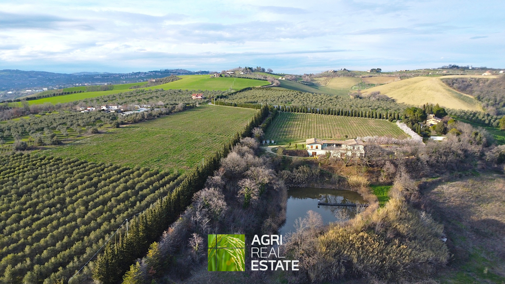 /api/file/public/264726/26898