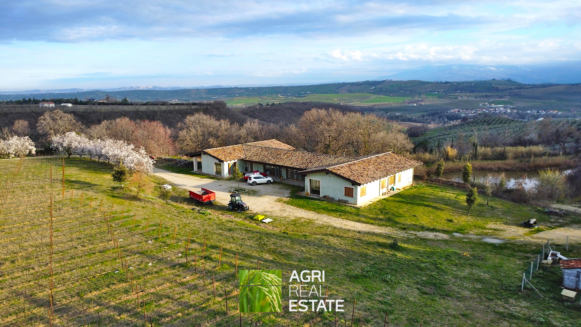 /api/file/public/264726/26900