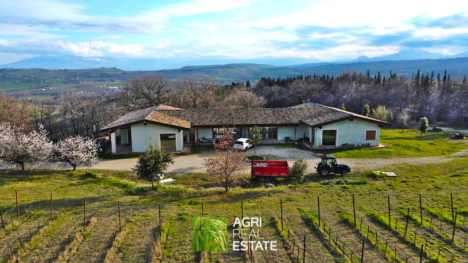 /api/file/public/264726/26901